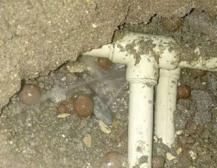武强卫生间测漏