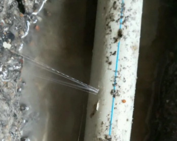 武强卫生间测漏水多少钱