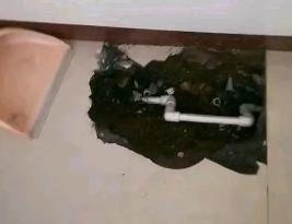 武强卫生间测漏水多少钱